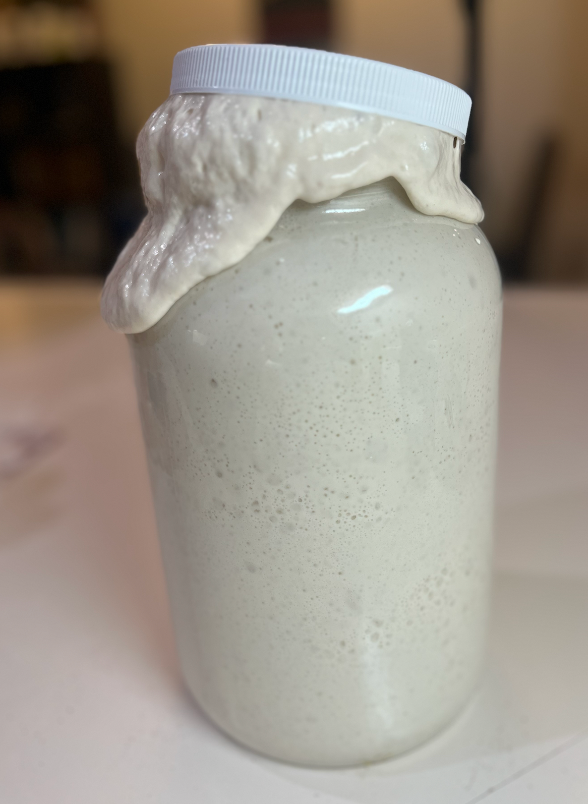 Artisan Dehydrated Sourdough Starter