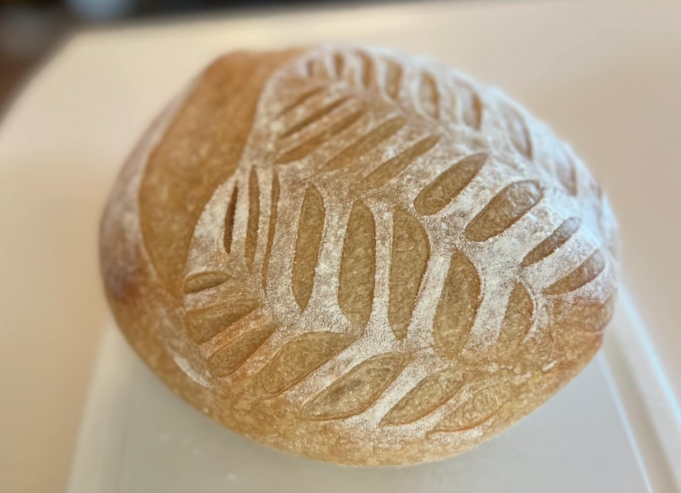 Artisan Dehydrated Sourdough Starter