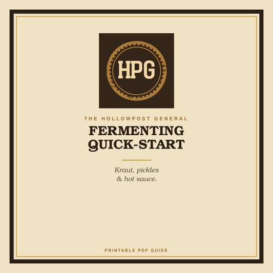 Fermenting Quick-Start cover