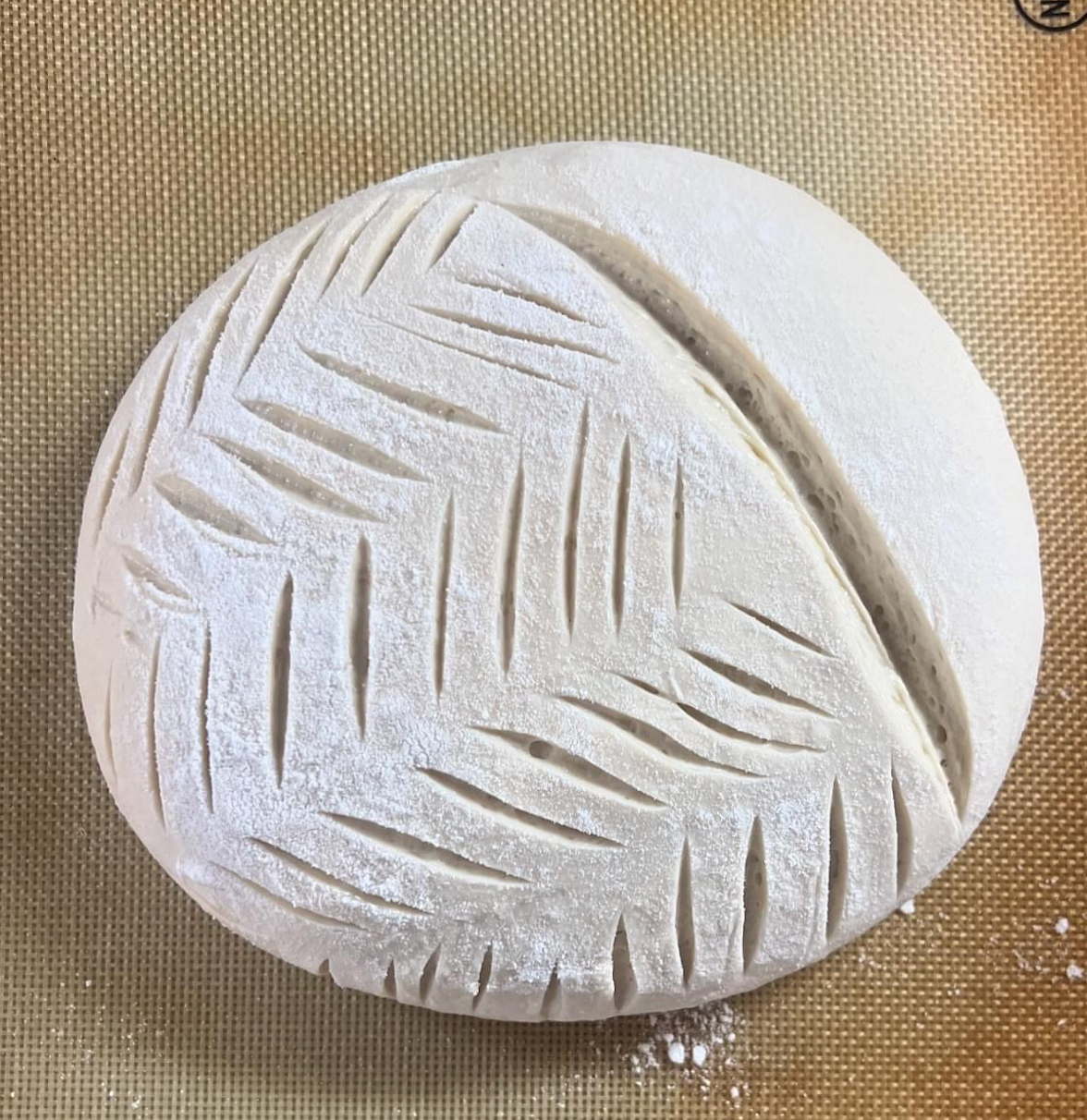 Artisan Dehydrated Sourdough Starter